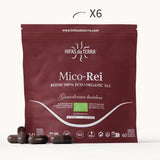 Mico-Rei Extracto Puro ECO de Reishi