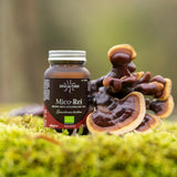 Mico-Rei Extracto Puro ECO de Reishi