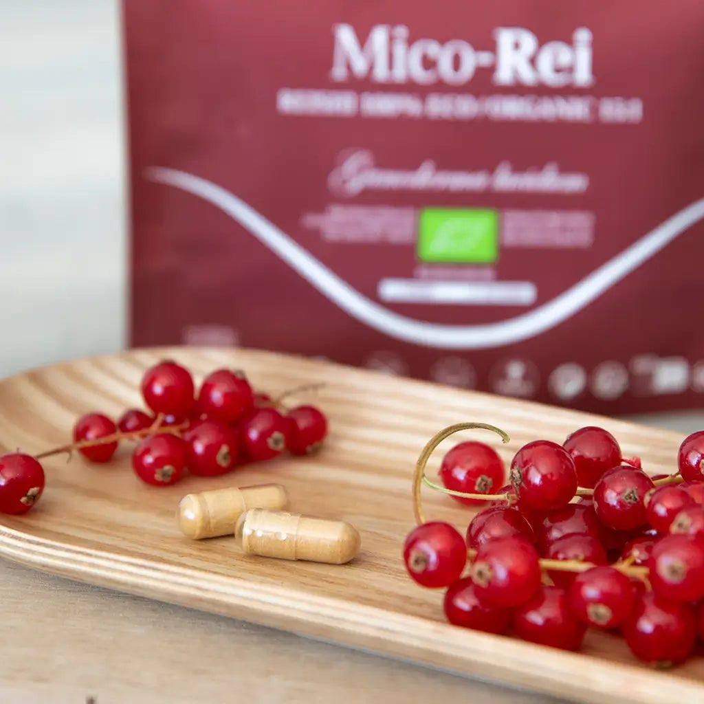 Mico-Rei Extracto Puro ECO de Reishi