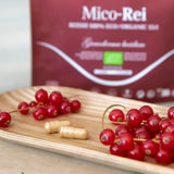 Mico-Rei Extracto Puro ECO de Reishi